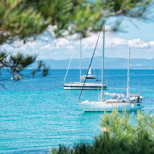 Design sans titre - 1